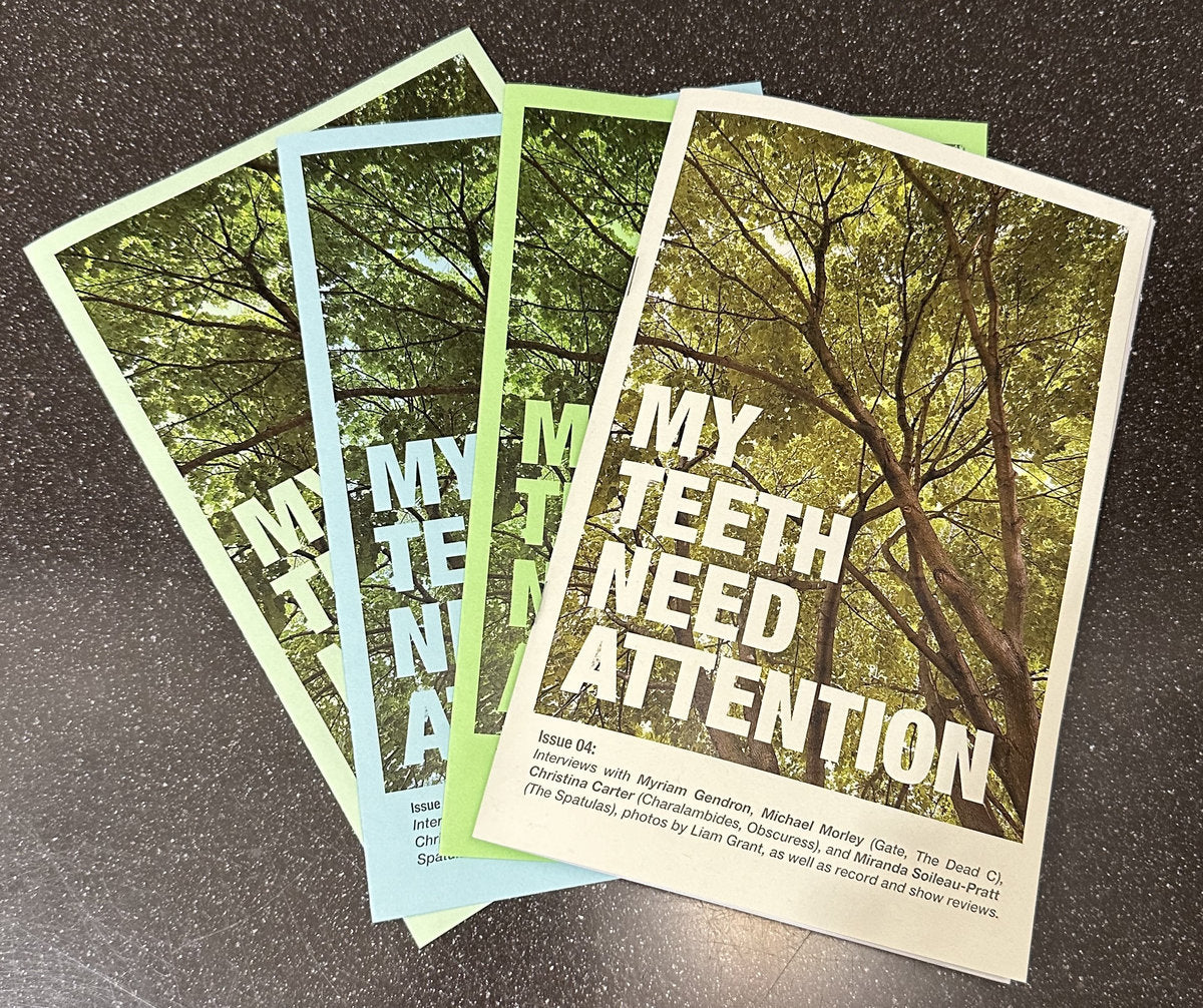 My Teeth Need Attention #4 Zine