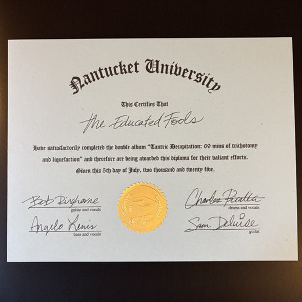 Retail Simps - Tantric Decapitation: 69 minutes of trichotomy and liquefaction 2LP