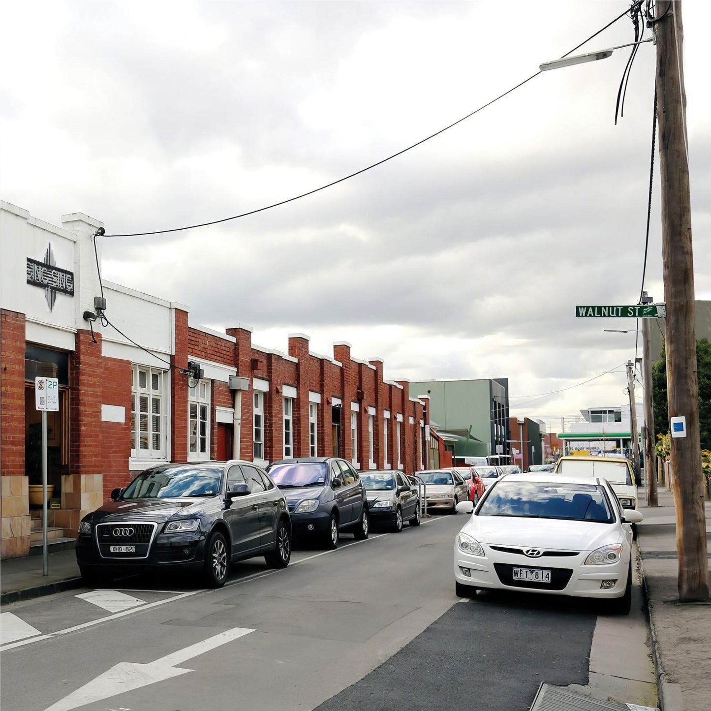 TISM - Hot Dogma Sing Sing Sessions CD