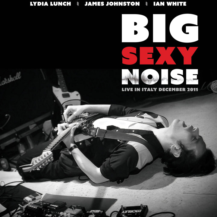 Big Sexy Noise - Live In Italy December 2011