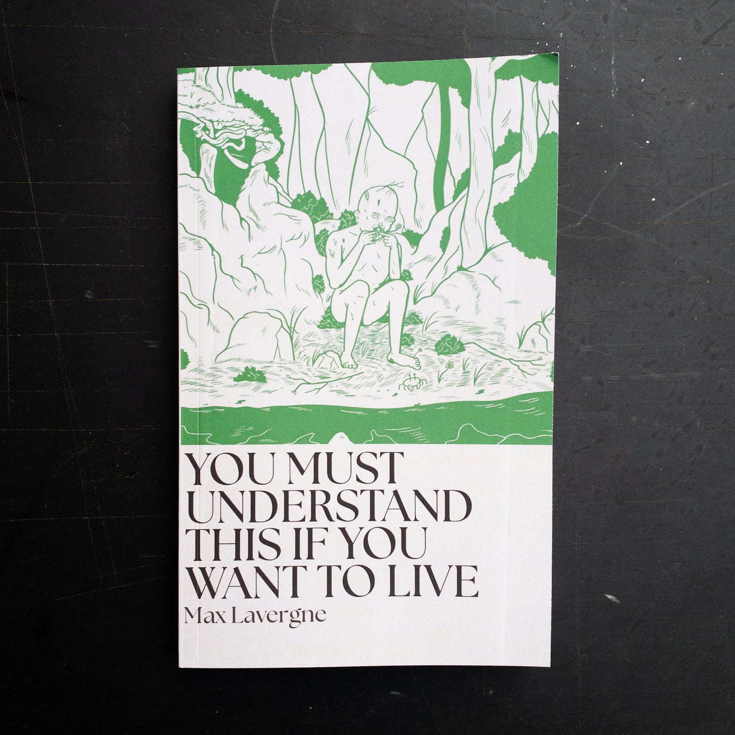 Max Lavergne - You Must Understand This If You Want To Live Book