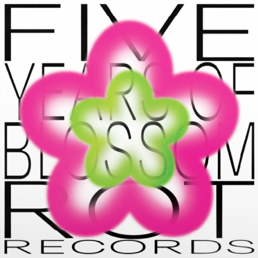 Various - Five Years Of Blossom Rot Records LP