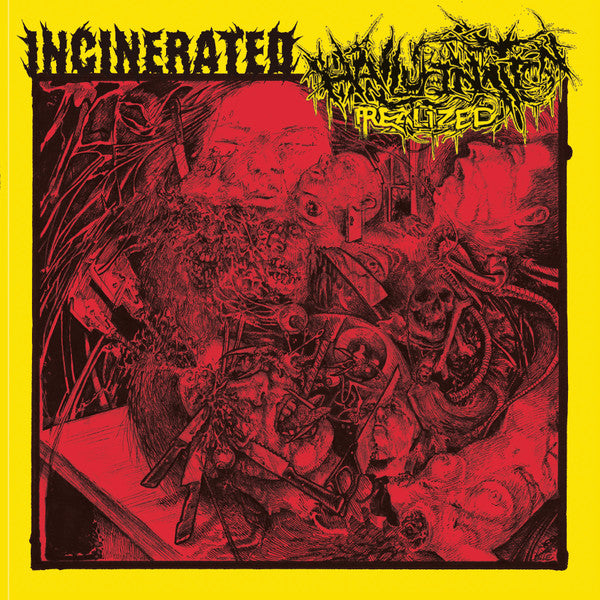 Incinerated / Hallucination Realized - Split 7"