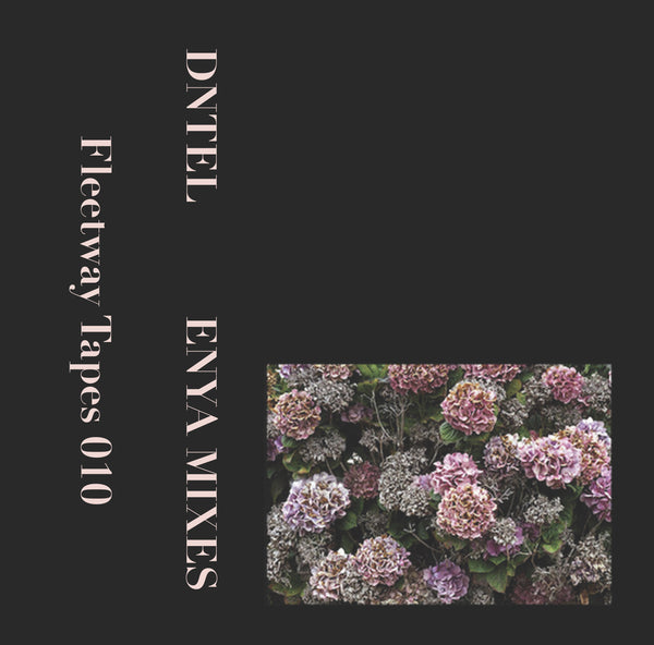 DNTEL - Enya Mixes CS