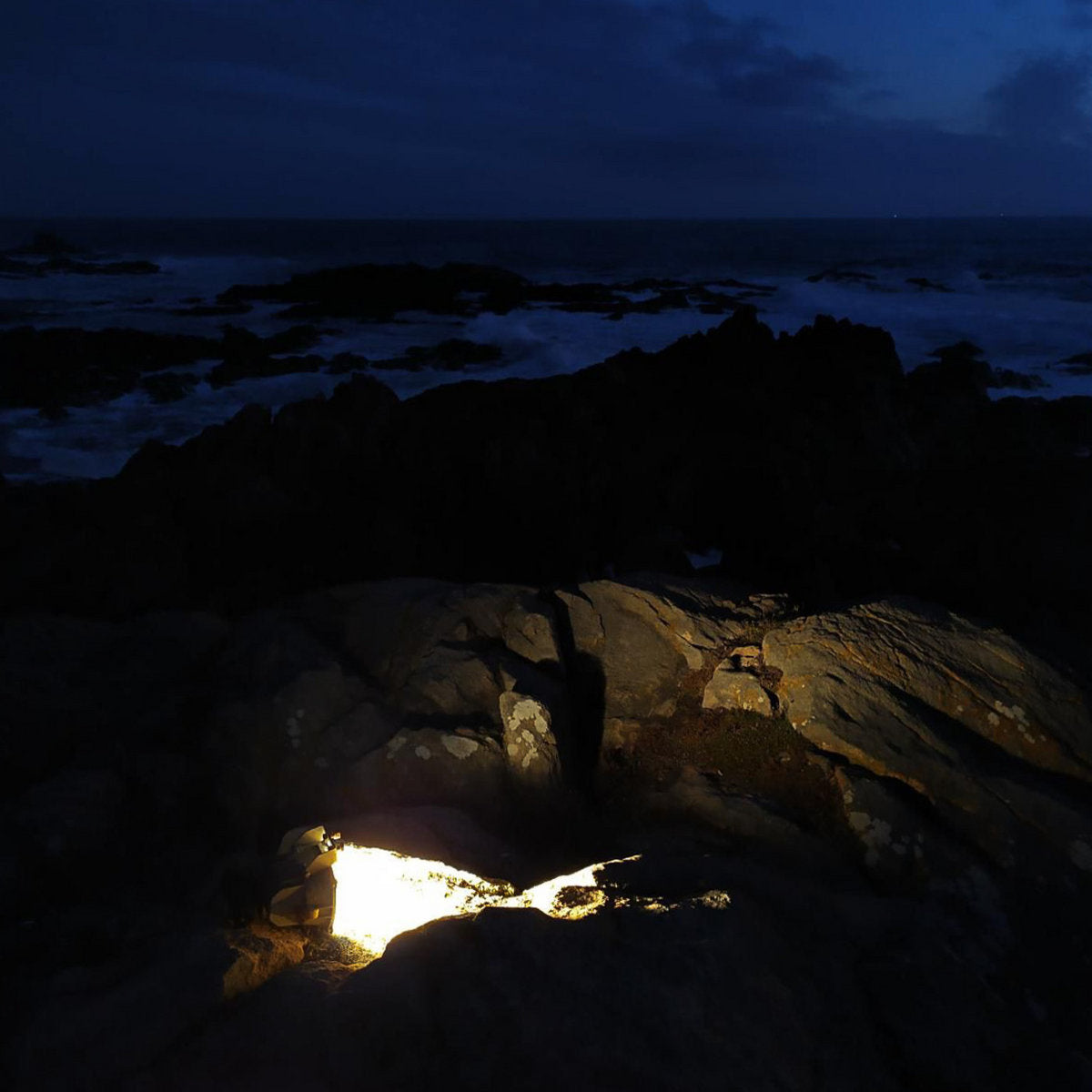 Henry Cyer - Roots of Empathy CD