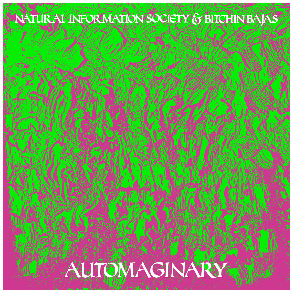 Bitchin Bajas and Natural Information Society - Autoimaginary LP