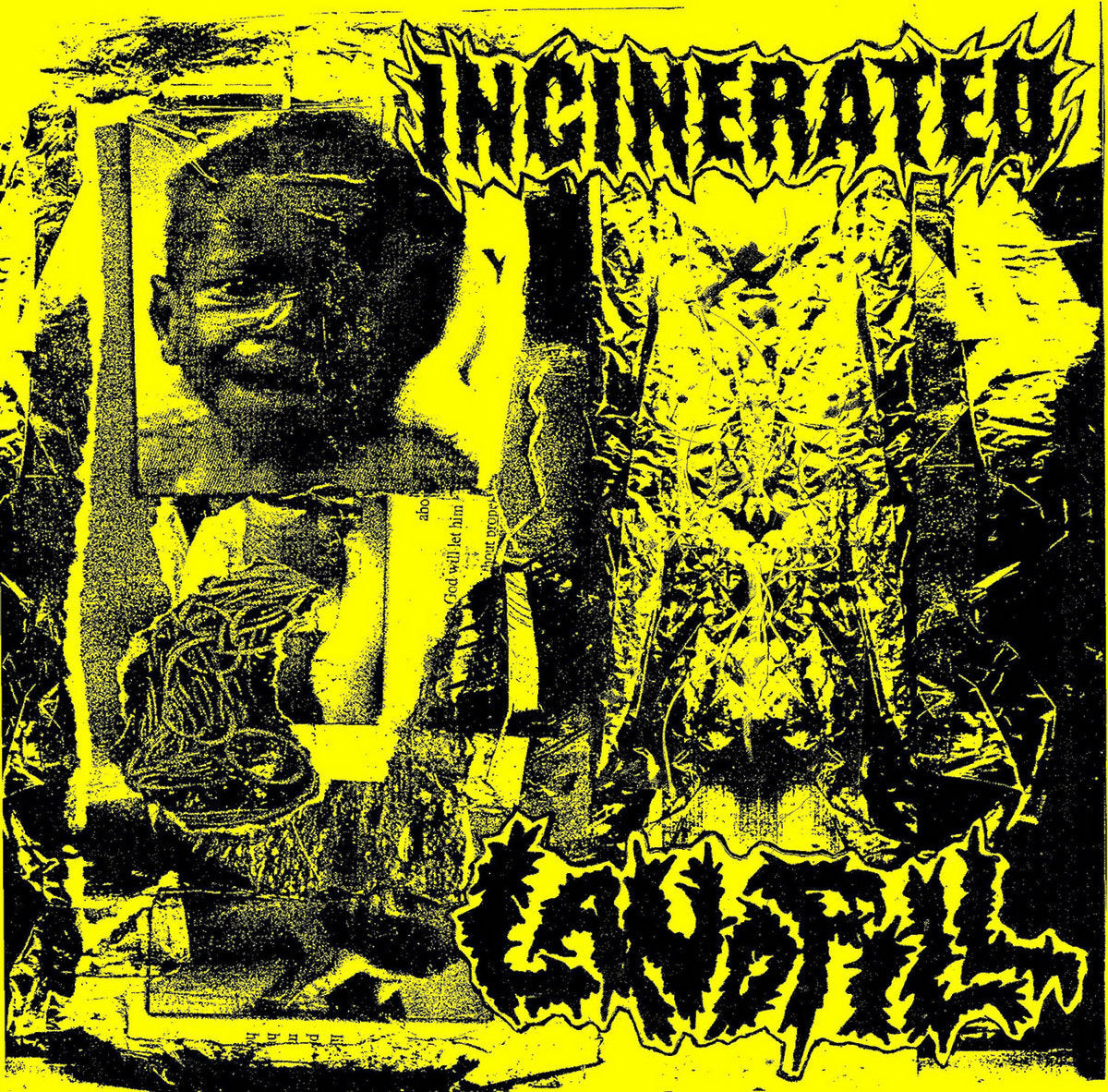 Incinerated / Landfill - Split 7"