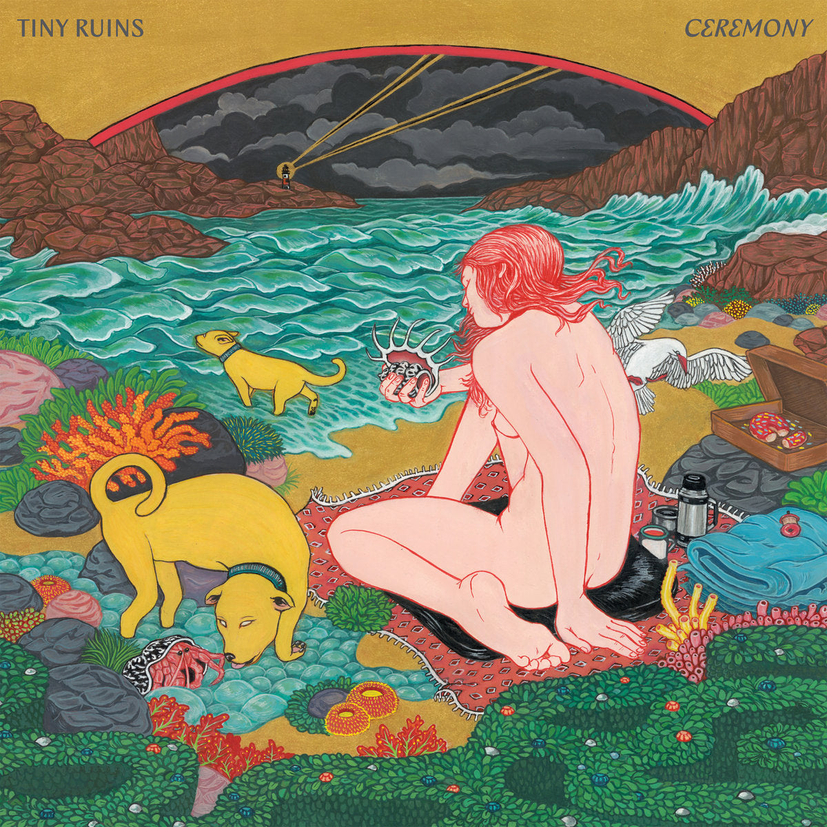 Tiny Ruins - Ceremony LP