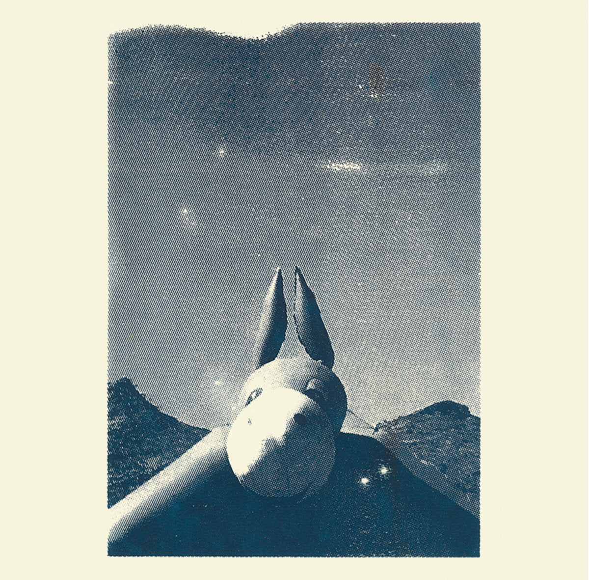 Another Triumph - The Risk CS