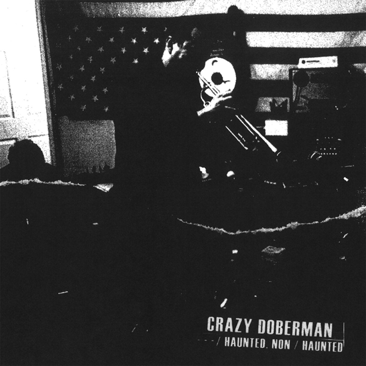 Crazy Doberman - --- / Haunted, Non / Haunted LP