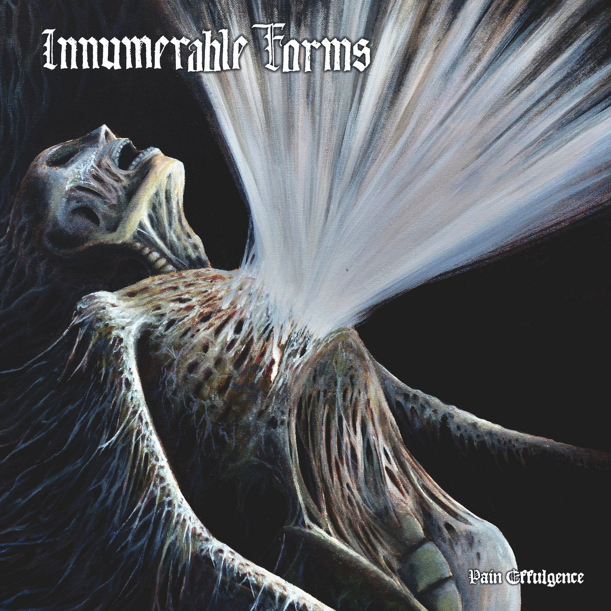 Innumerable Forms - Pain Effulgence LP