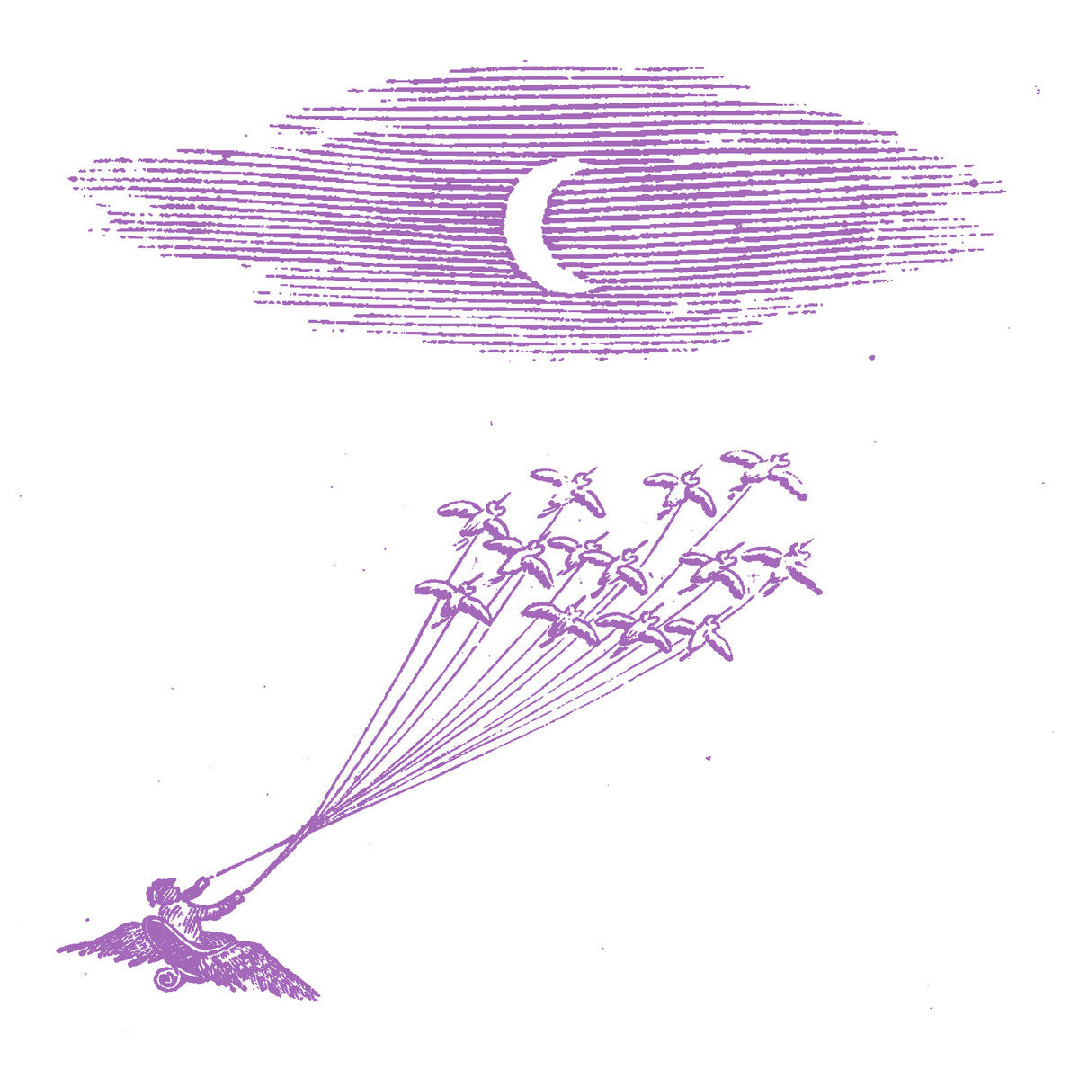 Feeling Figures - Migration Magic LP