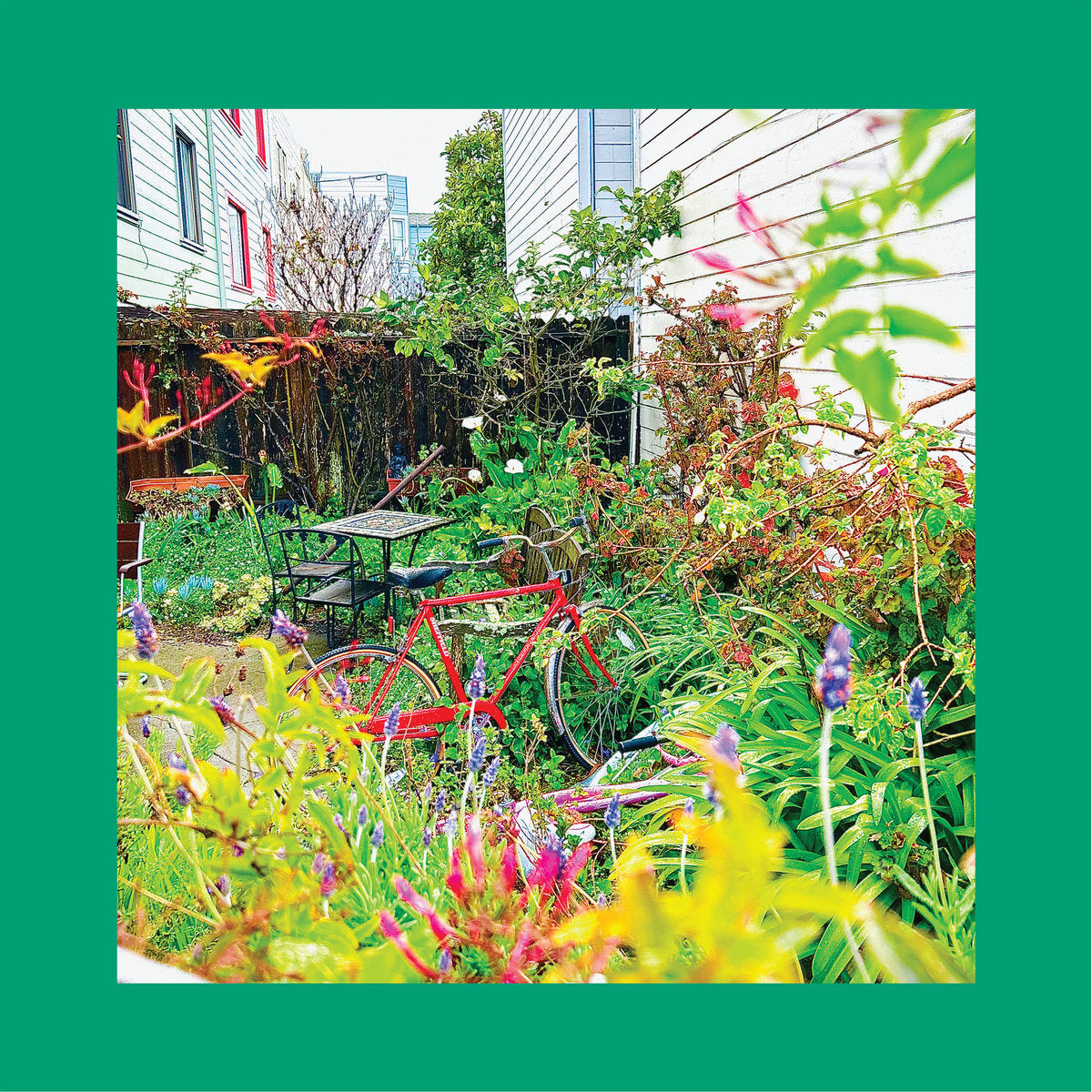 The Reds, Pinks & Purples - Unwishing Well LP