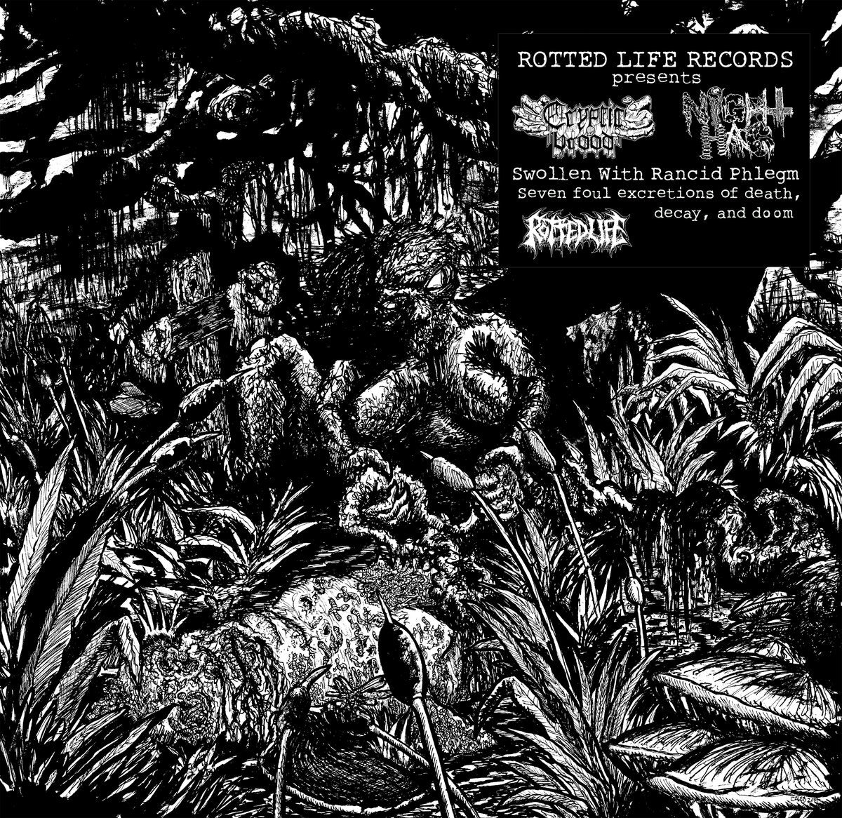 Cryptic Brood / Night Hag - Swollen With Rancid Phlegm LP