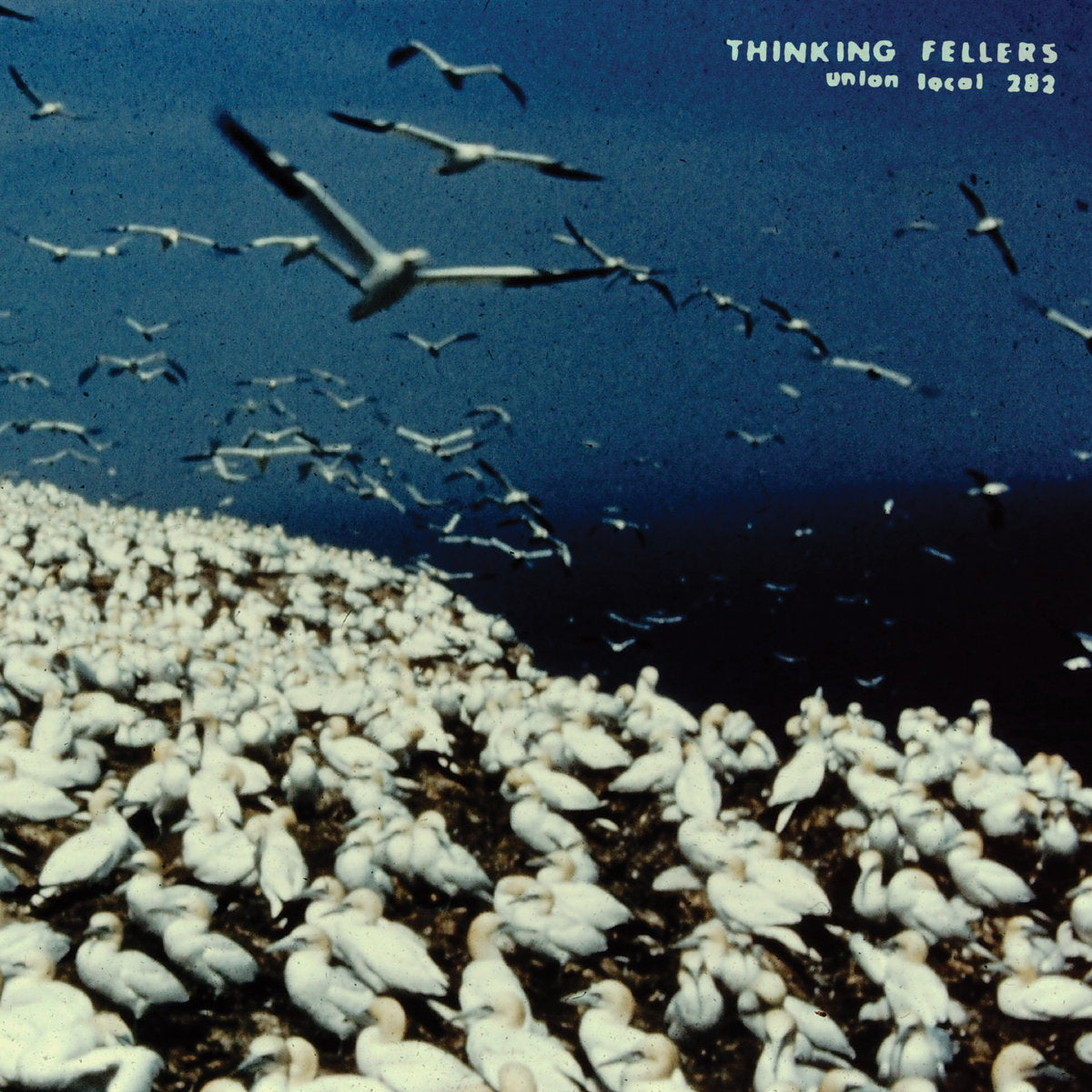 Thinking Fellers Union Local 282 - These Things Remain Unassigned 2LP