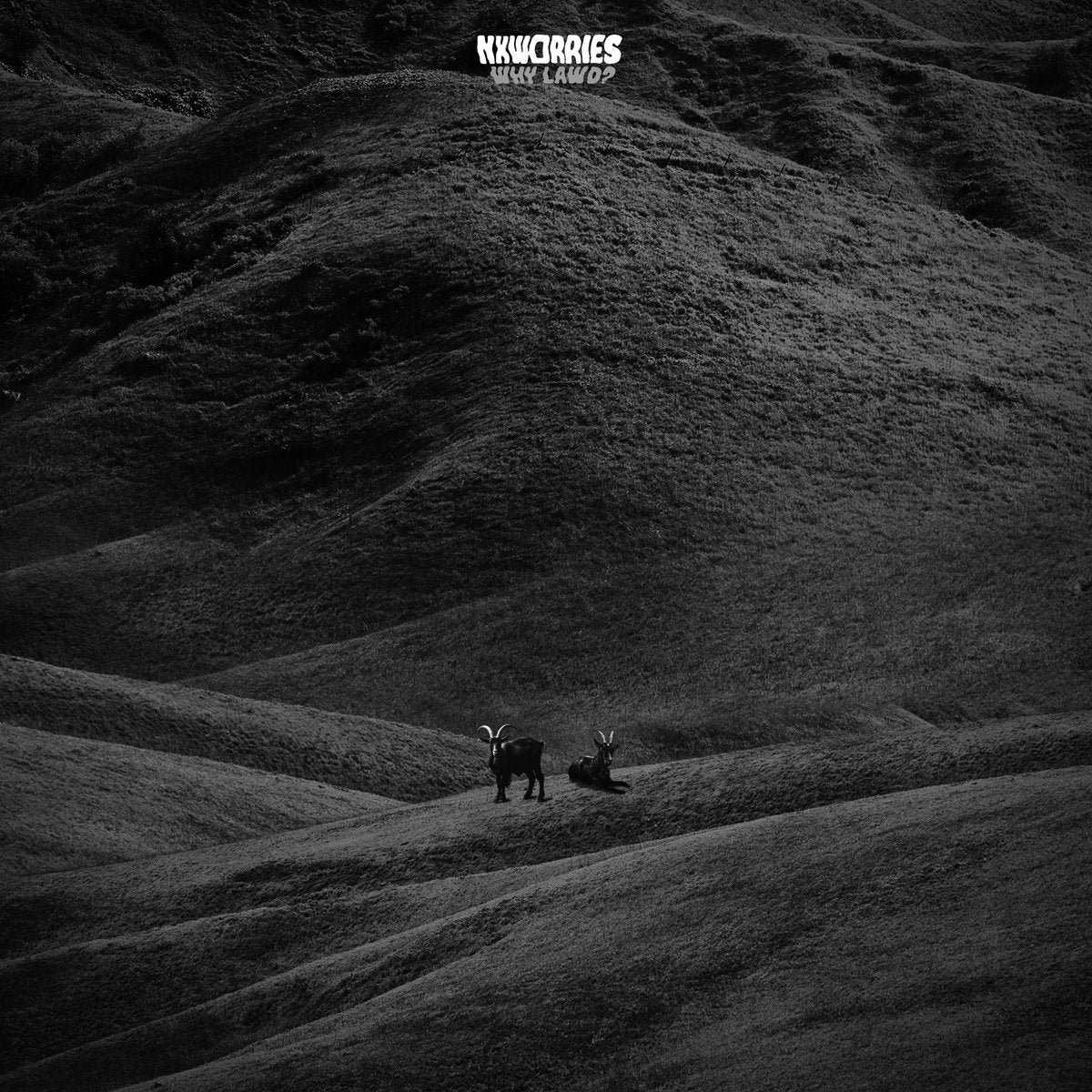 NxWorries - Why Lawd? LP