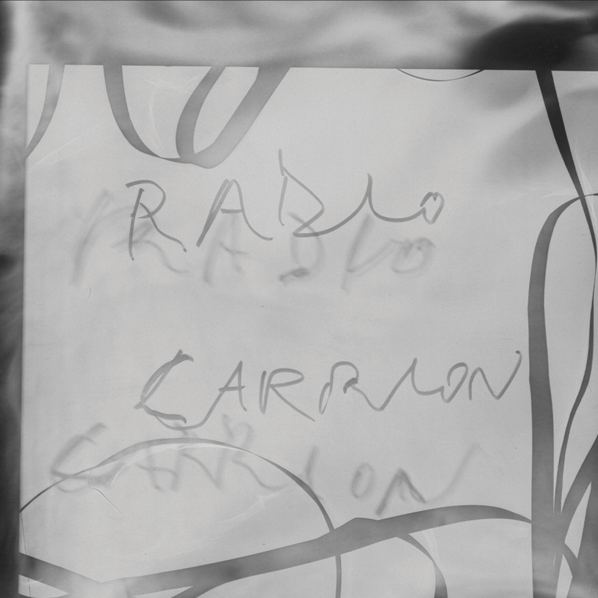Double Goocher Shop - Radio Carrion CD
