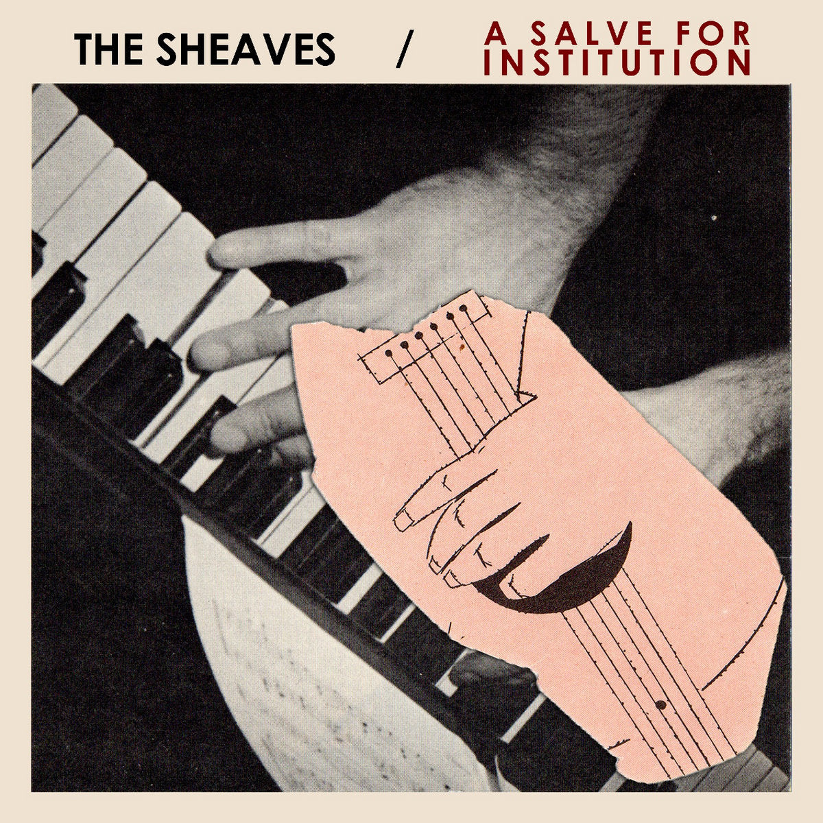 The Sheaves - A Salve For Institution LP