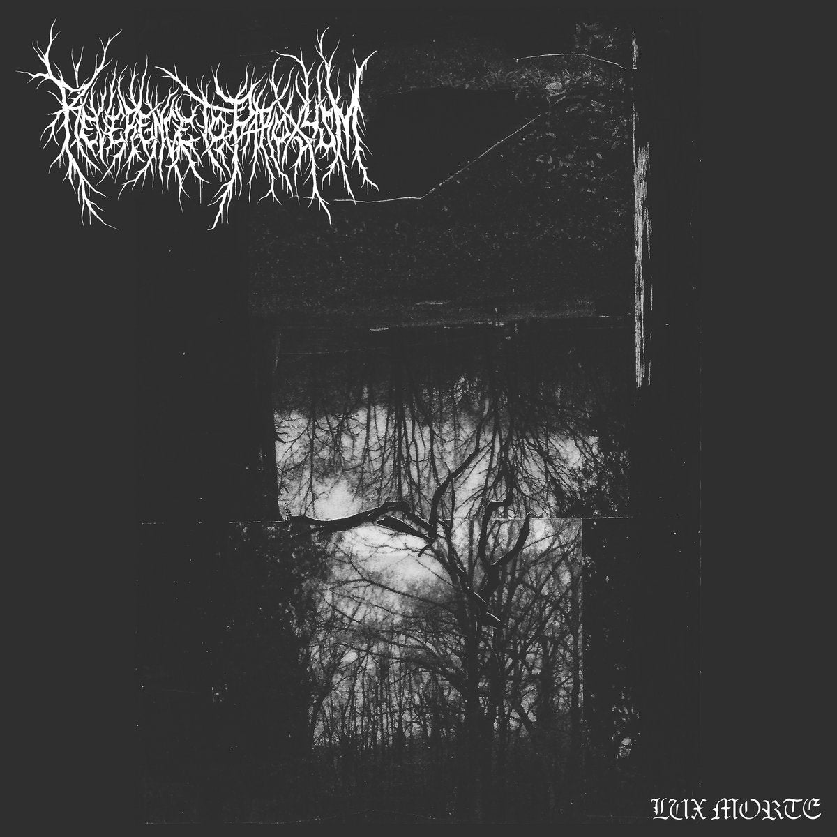 Reverence To Paroxysm - Lux Morte CD