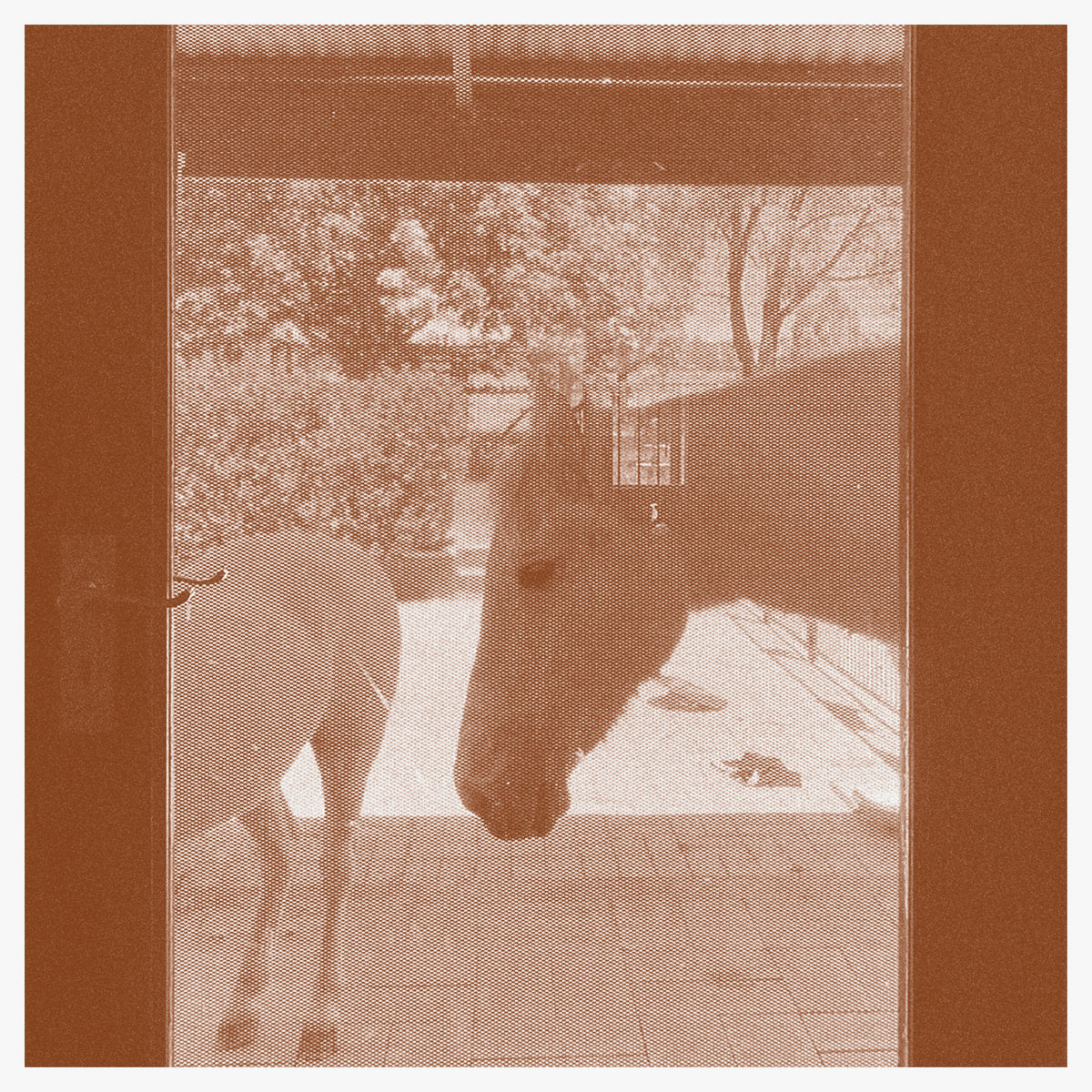 J.WLSN & Liam Keenan - Country/The Country CD