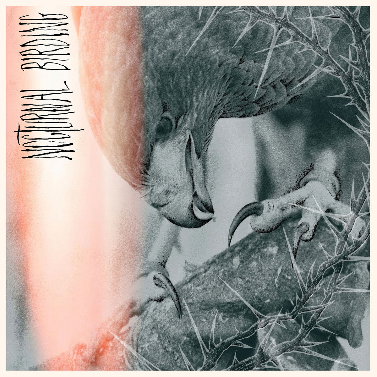 Author & Punisher - Nocturnal Birding LP