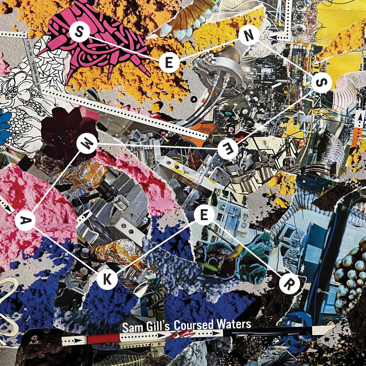Sam Gill's Coursed Waters - Sensemaker CD