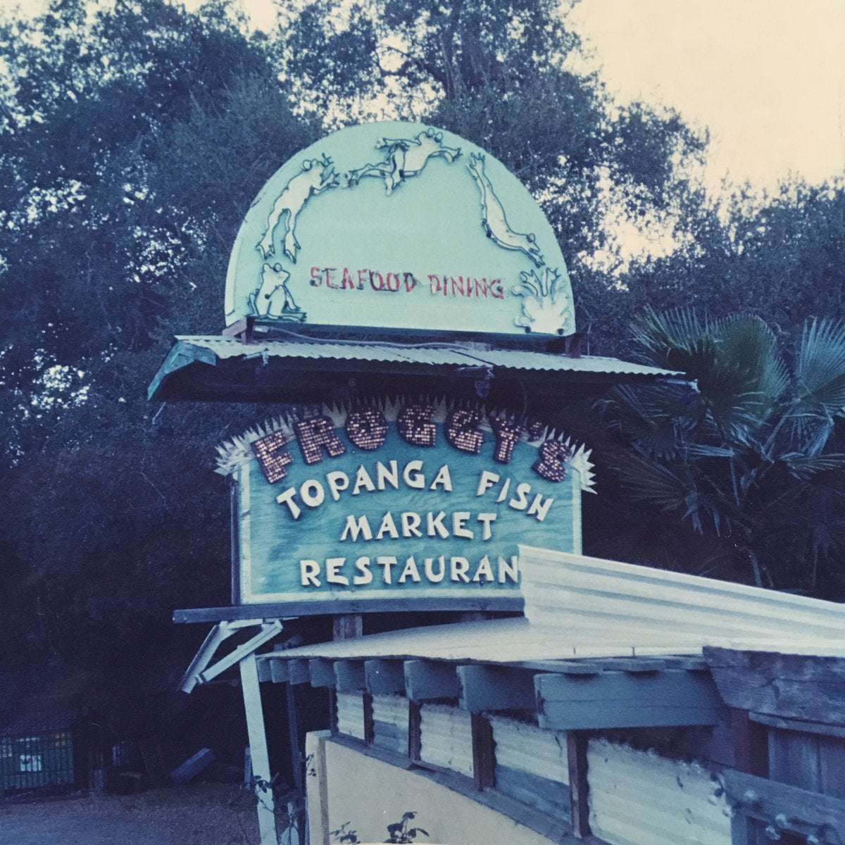 Little Wings - Froggy's LP