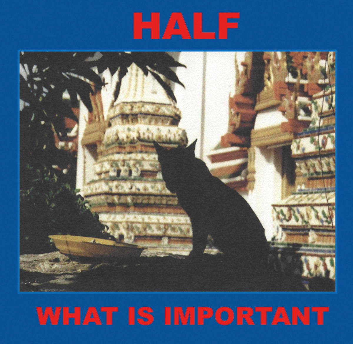 Half - What Is Important CD