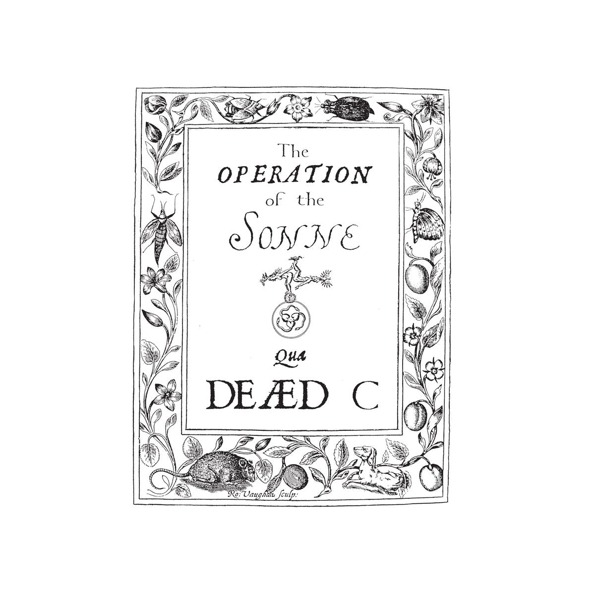 The Dead C - The Operation Of The Sonne LP