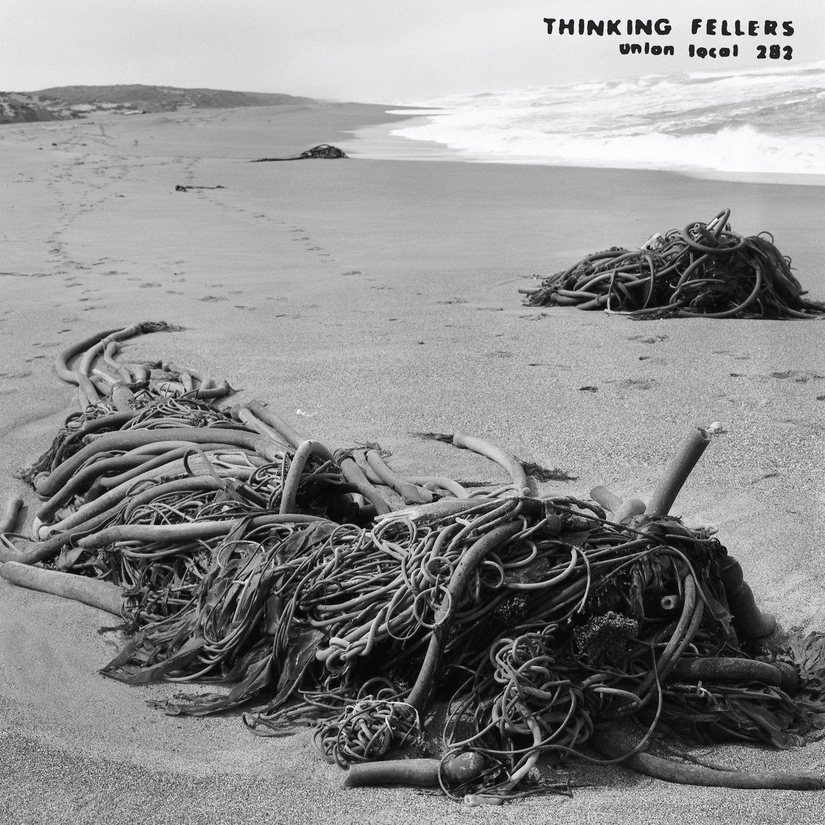 Thinking Fellers Union Local 282 - Tangle LP