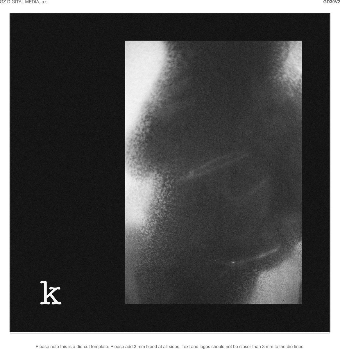 K. Lihn - K LP
