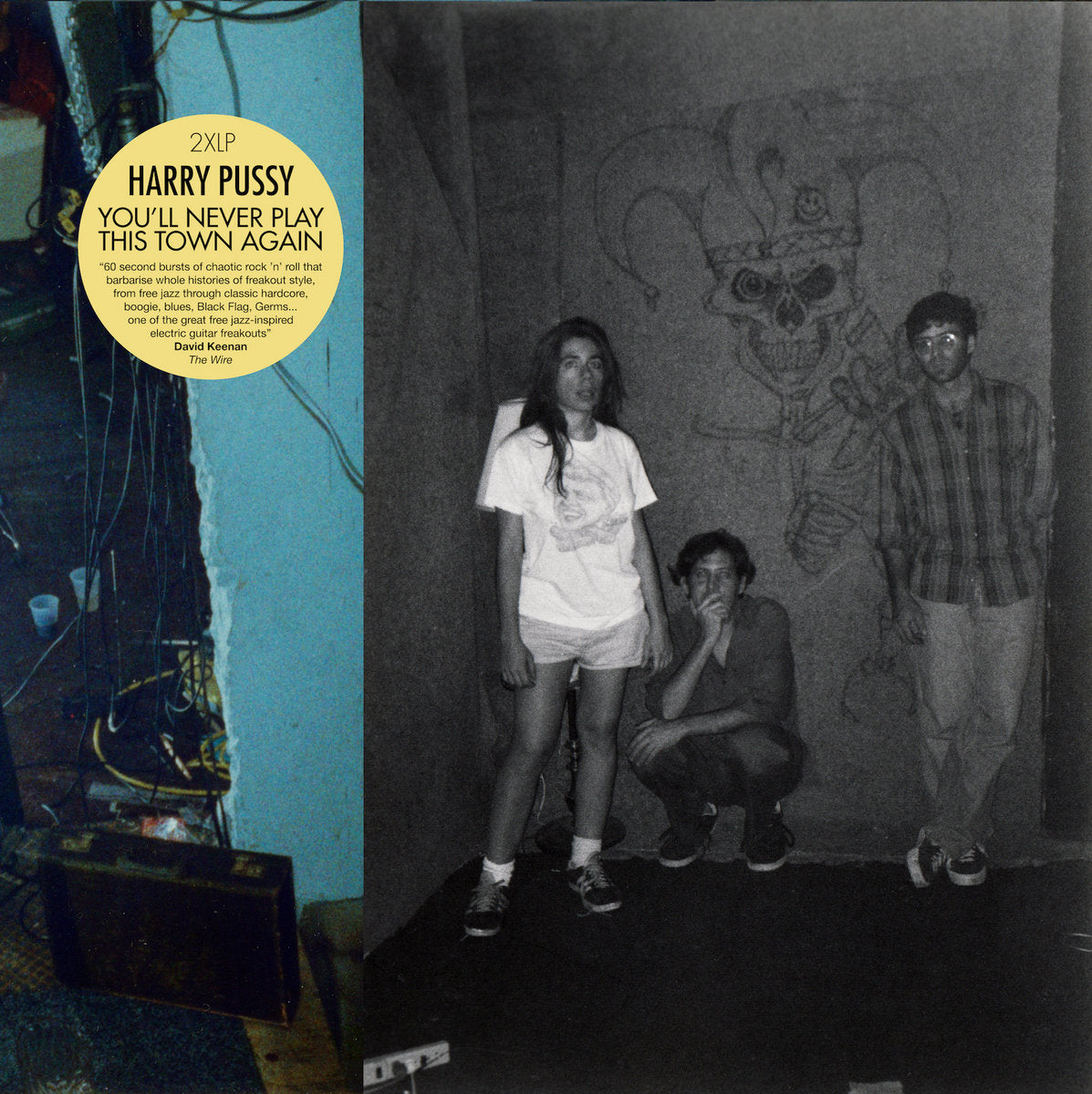 Harry Pussy - You'll Never Play This Town Again 2LP