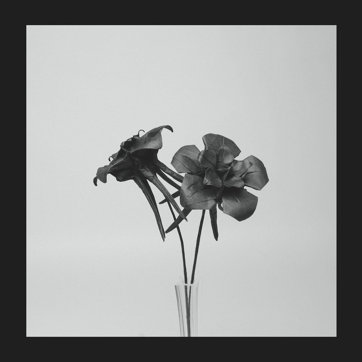 Jlin - Dark Lotus 12"