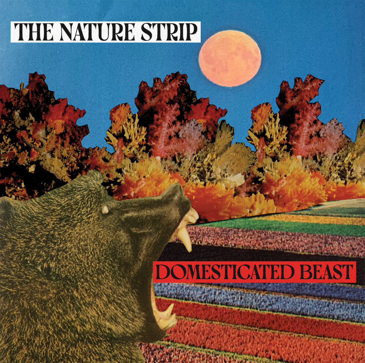 The Nature Strip - Domesticated Beast CD