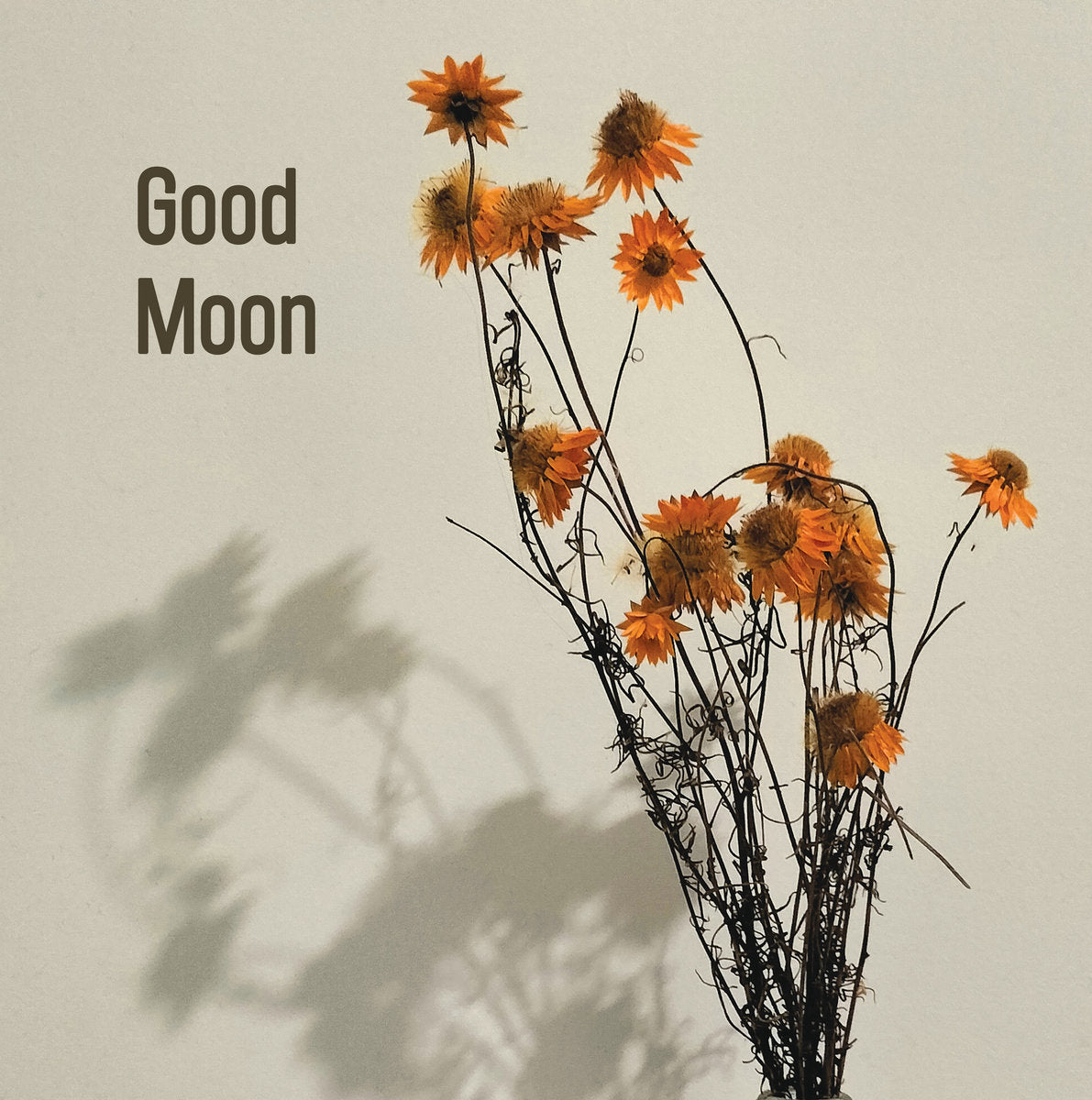 Good Moon - Sunrooms LP