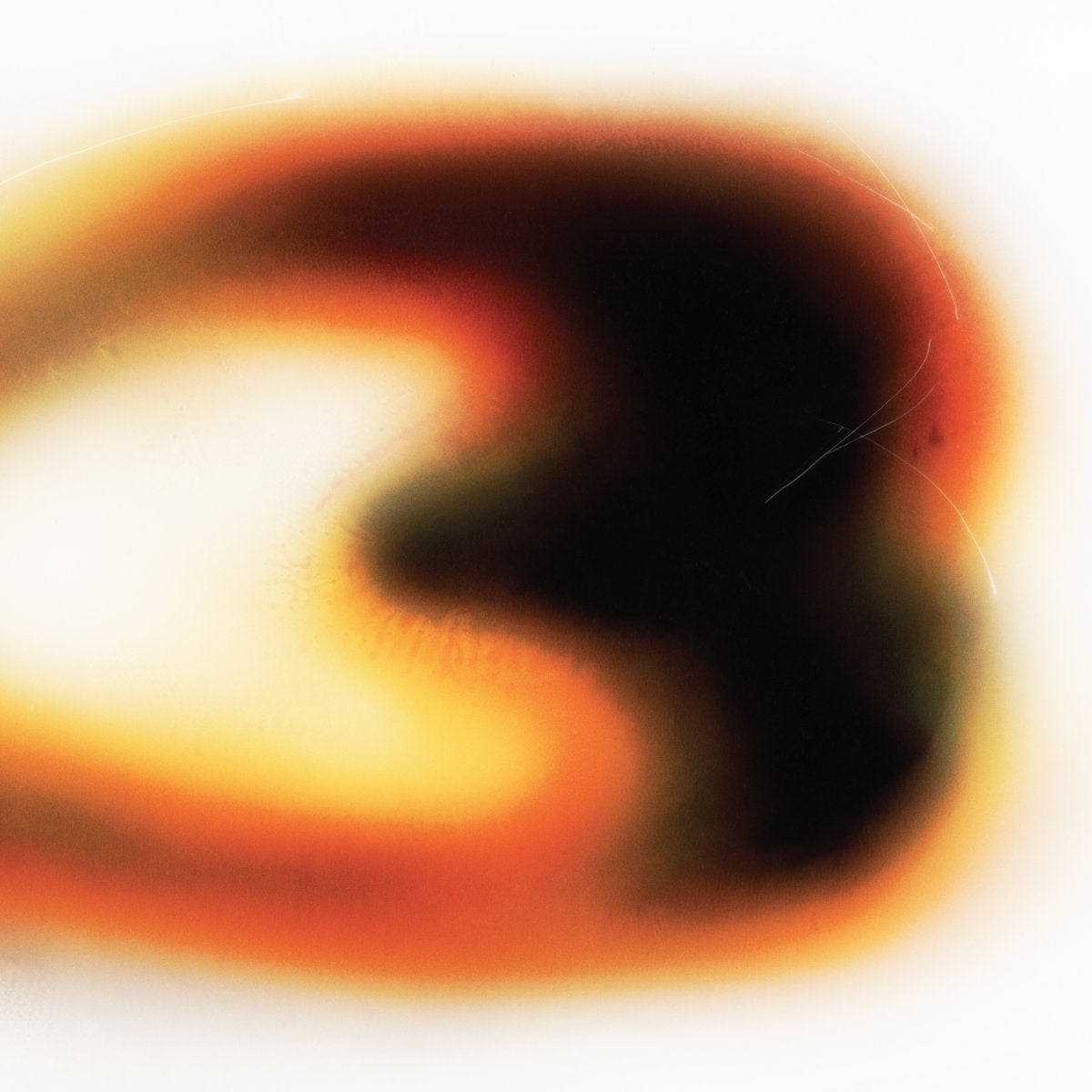 Still House Plants - If I don’t make it, I love u LP