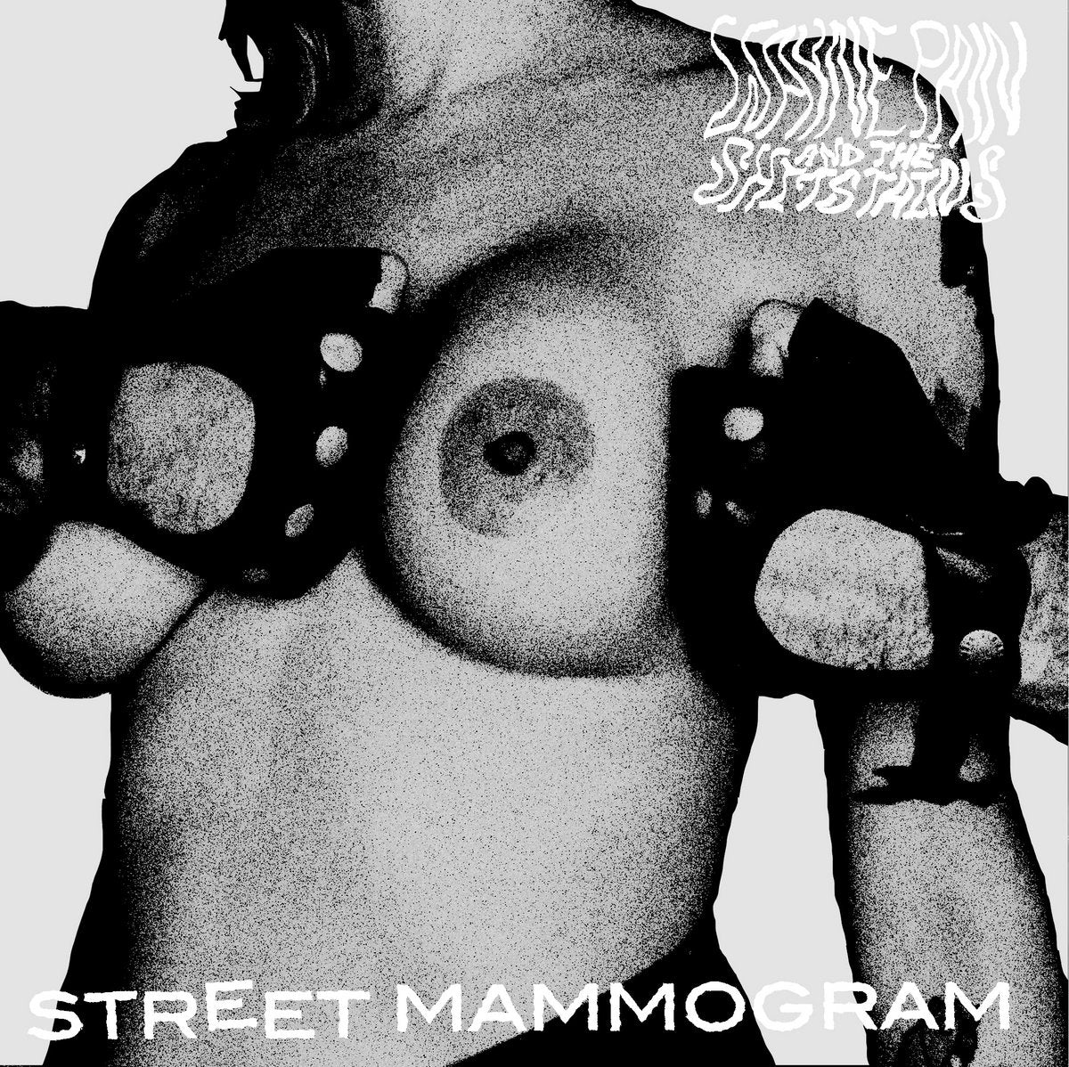 Wayne Pain & The Shit Stains - Street Mammogram 7"