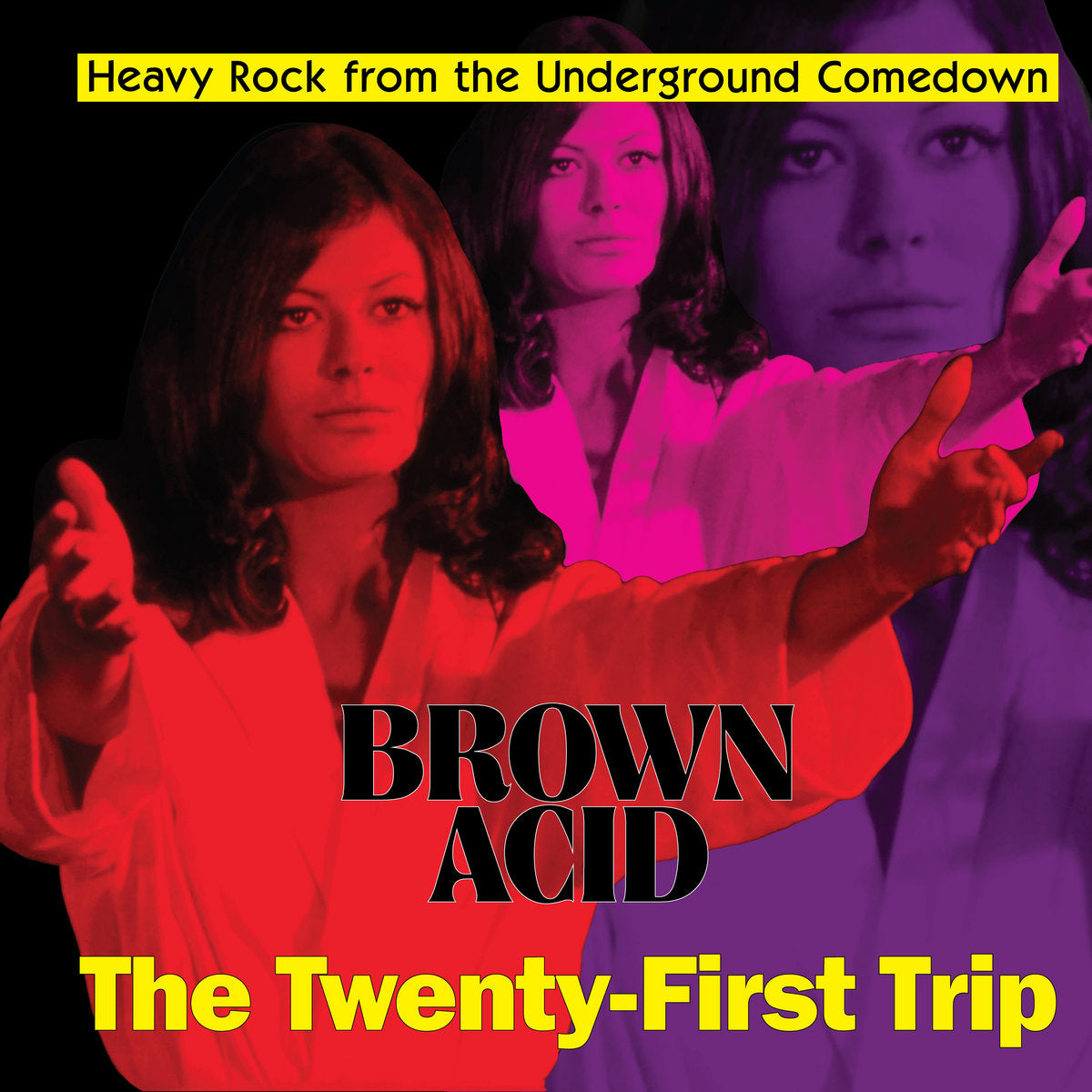 Various - Brown Acid: The Twenty-First Trip LP