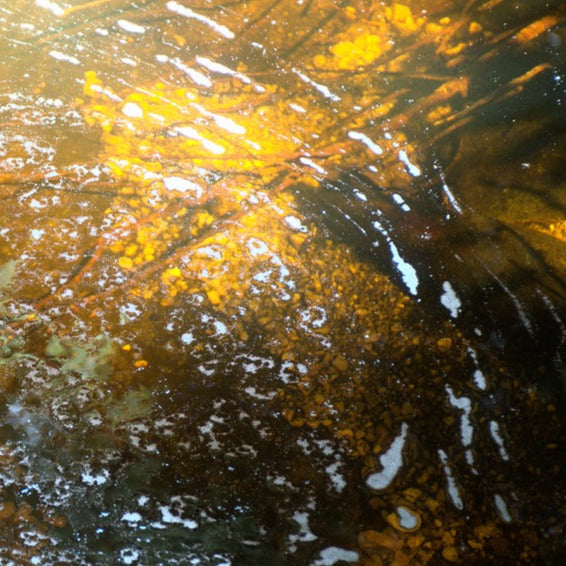 Jim Denley and the eternally orchestrating sonoverse - As Weather Volume 3: Budawang Mountains CD