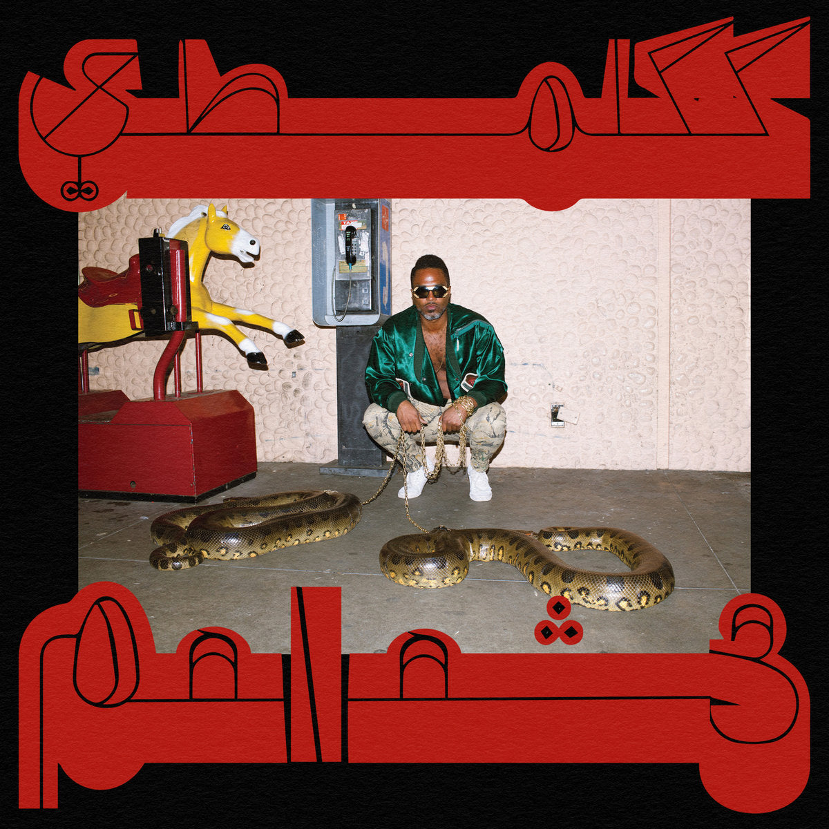 Shabazz Palaces - Robed in Rareness LP