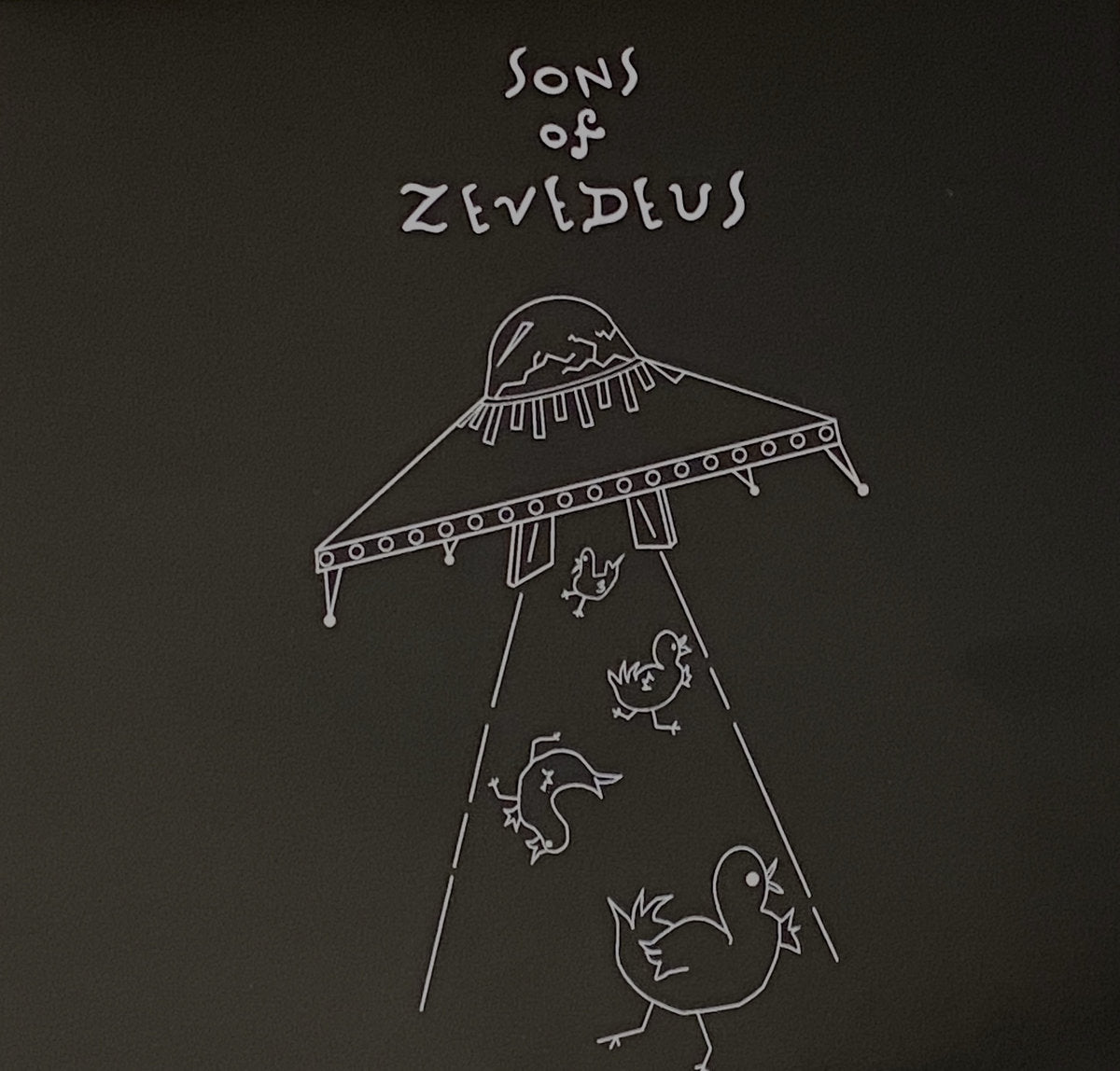 Sons of Zevedeus - Sons of Zevedeus LP