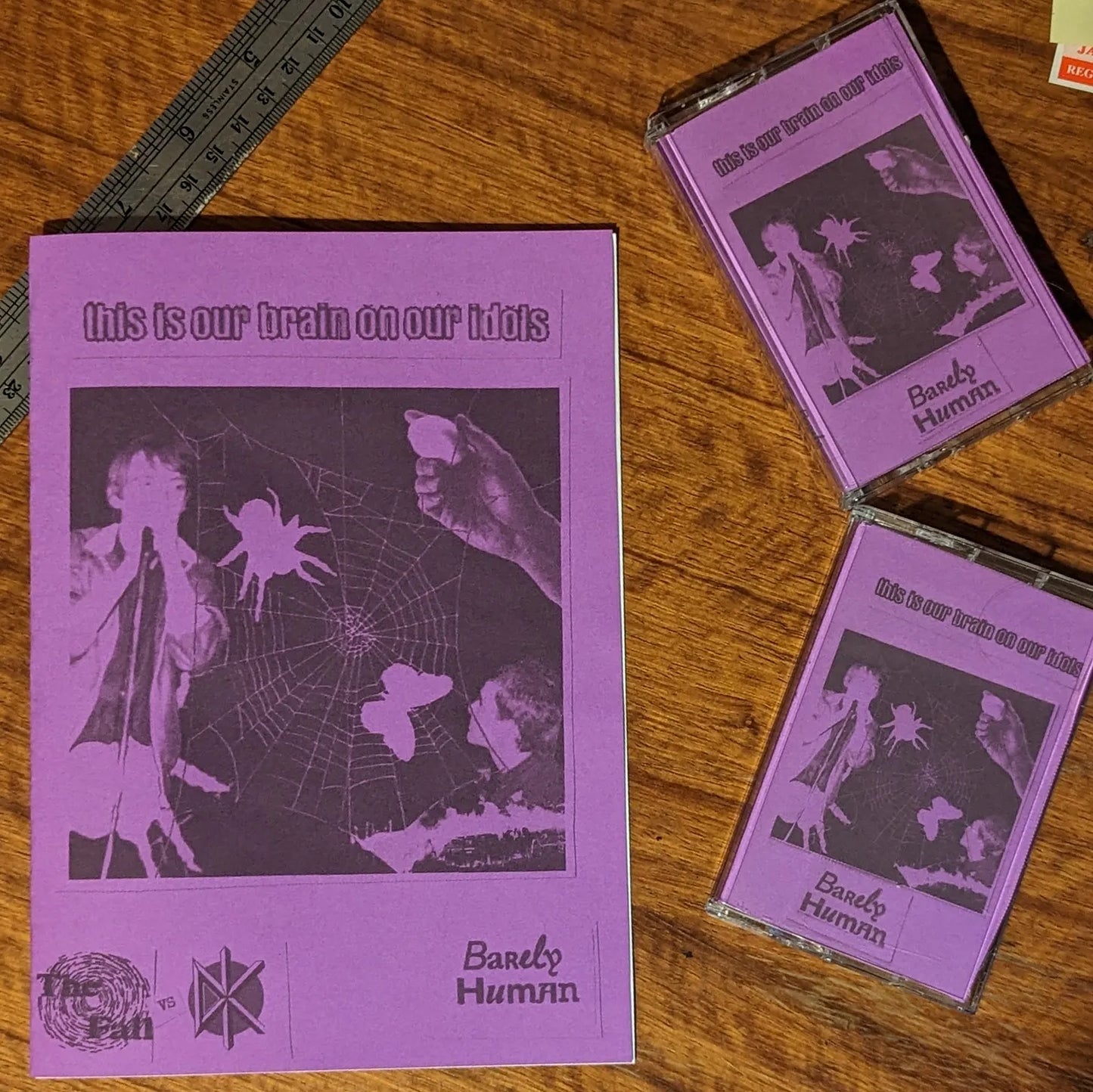 Barely Human: THIS IS OUR BRAIN ON OUR IDOLS Zine + CS