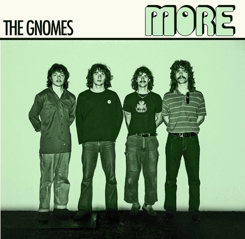 The Gnomes - More 12"