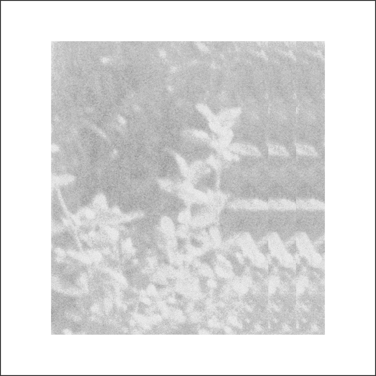 Glen Rey. - of that which we cannot speak... LP