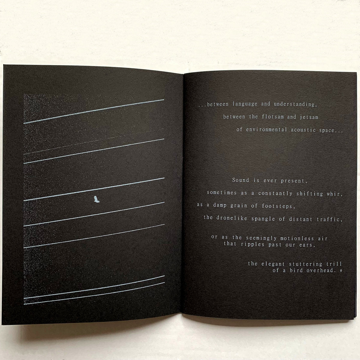 Bluetung - Under The Power Lines CD + Zine