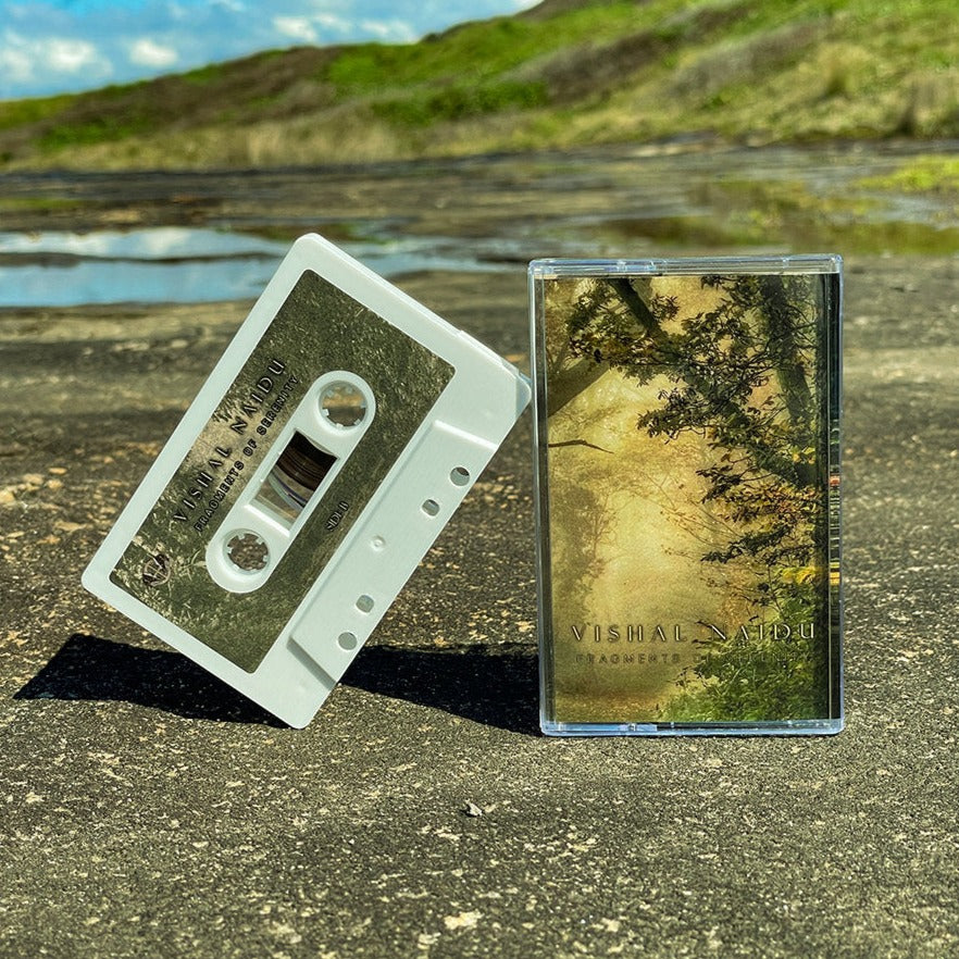 Vishal Naidu - Fragments Of Serenity CS