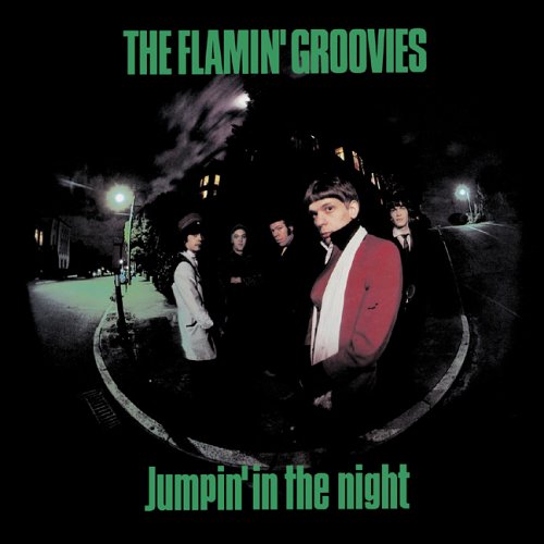 The Flamin' Groovies - Jumpin' In The Night LP