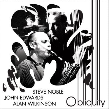 Steve Noble, John Edwards, Alan Wilkinson - Obliquity CD