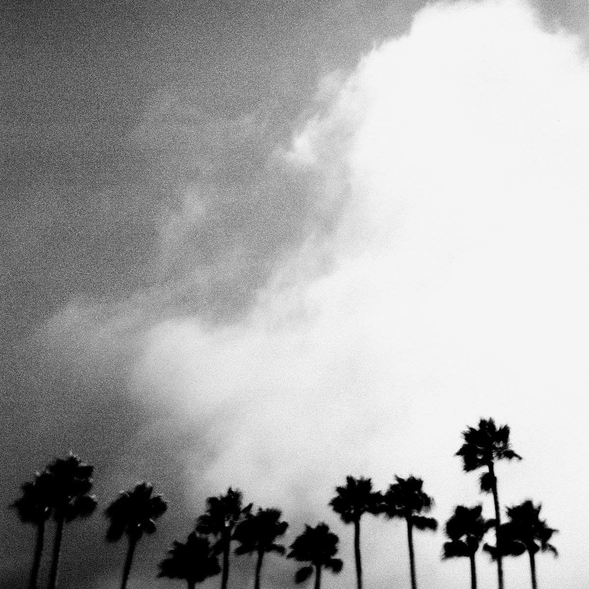 Richard Rose - Radiation Breeze LP