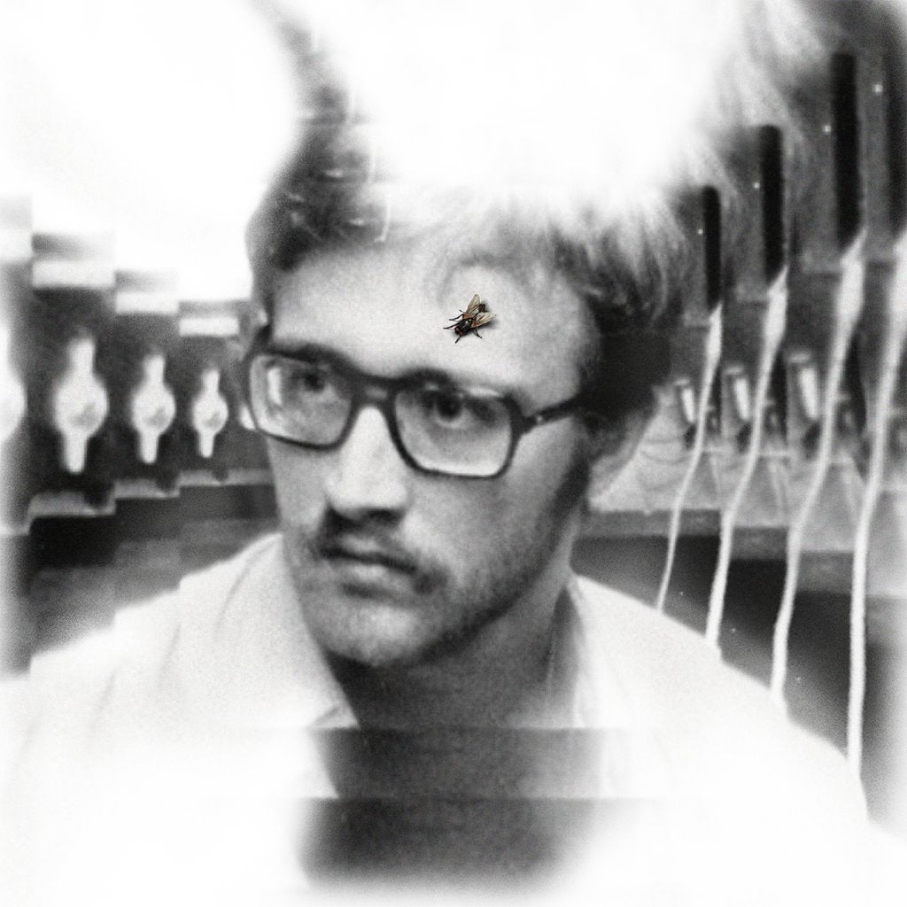 Damaged Bug - Bug On Yonkers LP